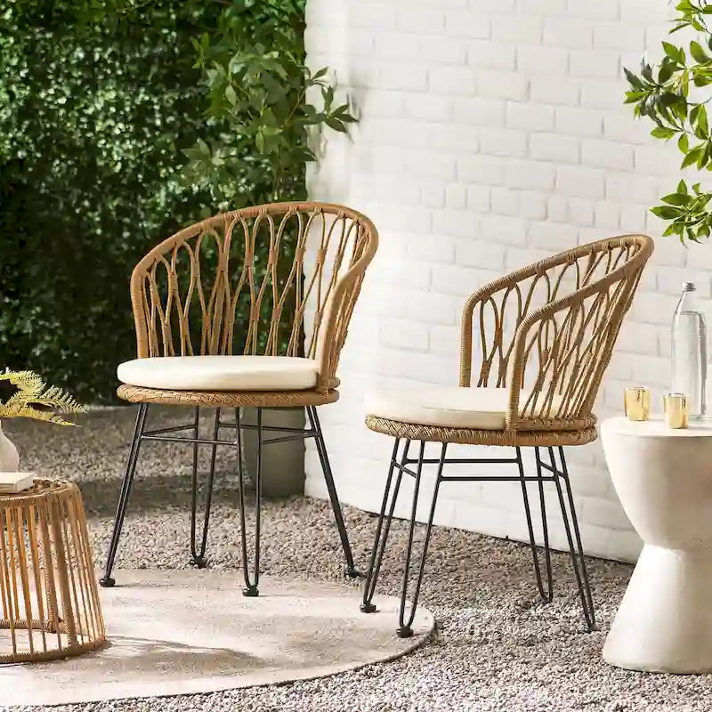 Ensemble de 2 chaises de salle à manger de style industriel