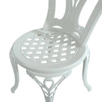 Ensemble de 2 chaises de bistro en aluminium moulé